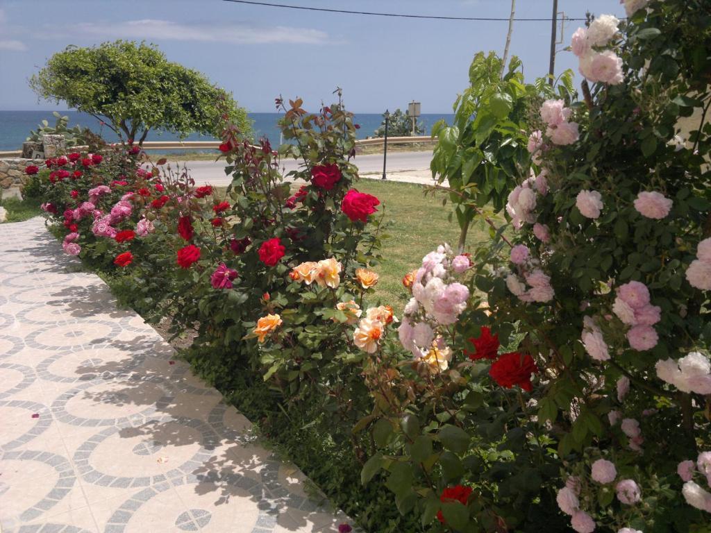 Asterina Seaside Apartments Kalyves Extérieur photo